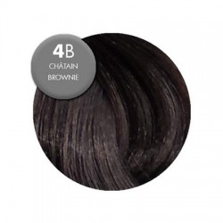 Color & Soin Colorations 4B Châtain Brownie Color & Soin Colorations 4B Châtain Brownie