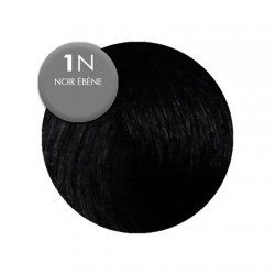 Color & Soin Colorations 1N Noir Ebène