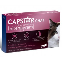 CAPSTAR CHAT 11.4 mg BBoite...