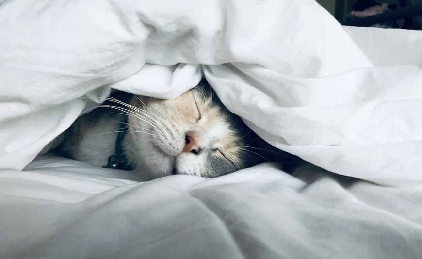 SOMMEIL ET STRESS : Retrouver des nuits paisibles et un endormissement rapide