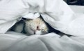 SOMMEIL ET STRESS : Retrouver des nuits paisibles et un endormissement rapide