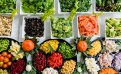 CONSTIPATION OCCASIONNELLE : Relancer son transit intestinal en toute douceur