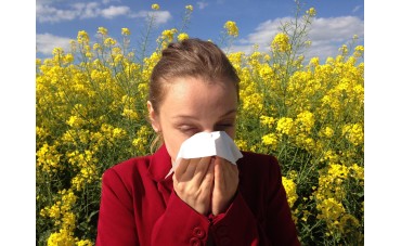 Les allergies saisonnières
