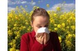 Les allergies saisonnières